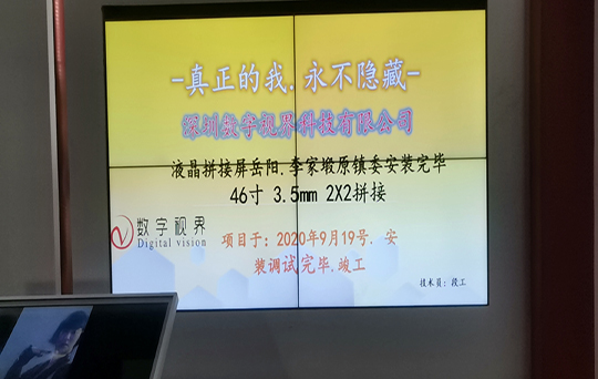 湖南岳阳市李家塅原镇委拼接屏项目